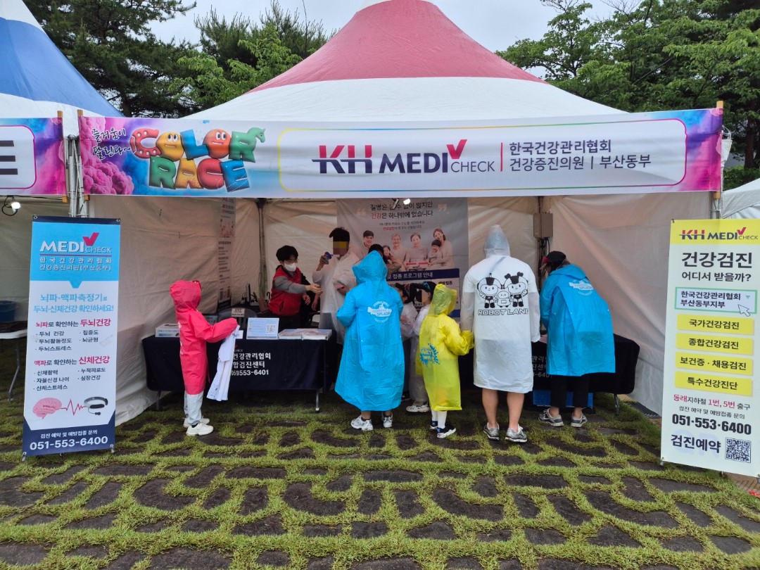 컬러레이스